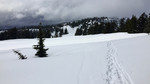 photo thumbnail #8