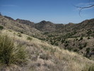 photo thumbnail #13