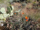 photo thumbnail #9