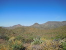 photo thumbnail #13