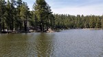 photo thumbnail #14
