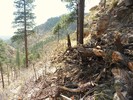 photo thumbnail #12