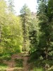 photo thumbnail #15