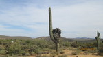 photo thumbnail #1
