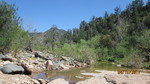 photo thumbnail #14
