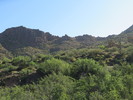 photo thumbnail #4