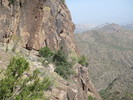 photo thumbnail #11