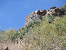 photo thumbnail #13