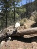 photo thumbnail #6