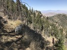 photo thumbnail #7