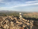 photo thumbnail #2