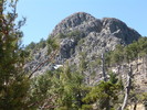 photo thumbnail #1