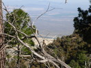 photo thumbnail #15