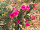 photo thumbnail #4