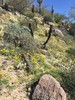 photo thumbnail #8