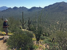 photo thumbnail #10