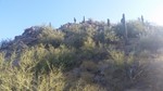 photo thumbnail #1
