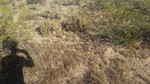 photo thumbnail #7