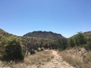 photo thumbnail #6