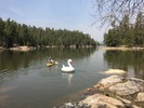 photo thumbnail #4