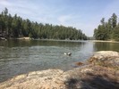 photo thumbnail #6