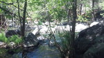 photo thumbnail #13