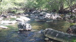 photo thumbnail #15