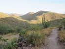 photo thumbnail #1