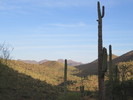 photo thumbnail #2