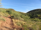 photo thumbnail #7
