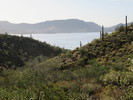 photo thumbnail #13