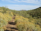 photo thumbnail #15