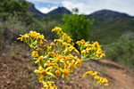 photo thumbnail #12