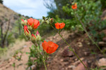 photo thumbnail #13