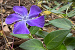 photo thumbnail #15