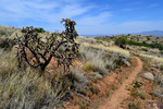 photo thumbnail #12