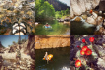 photo thumbnail #5