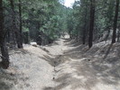 photo thumbnail #2