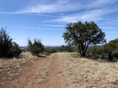photo thumbnail #1