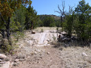 photo thumbnail #5