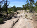 photo thumbnail #6