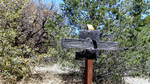 photo thumbnail #13