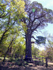 photo thumbnail #15