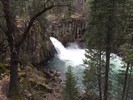 Featured Full Photo