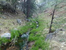 photo thumbnail #1