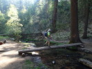 photo thumbnail #2