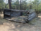 photo thumbnail #9