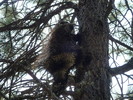 photo thumbnail #12