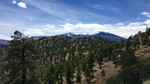 photo thumbnail #10