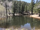photo thumbnail #3